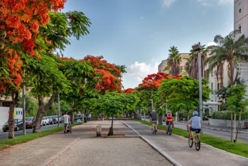 Contact Mishkan Israel for personalized guidance on your real estate journey in Israel